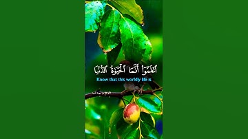 تلاوة خاشعة بصوت يريح الأعصاب #islamic_video #اكسبلور #تلاوة #islamicquan #المصحف#duet #aslam #لايك