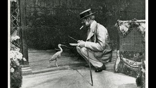 A Family Fascination: A History of Birds at Waddesdon