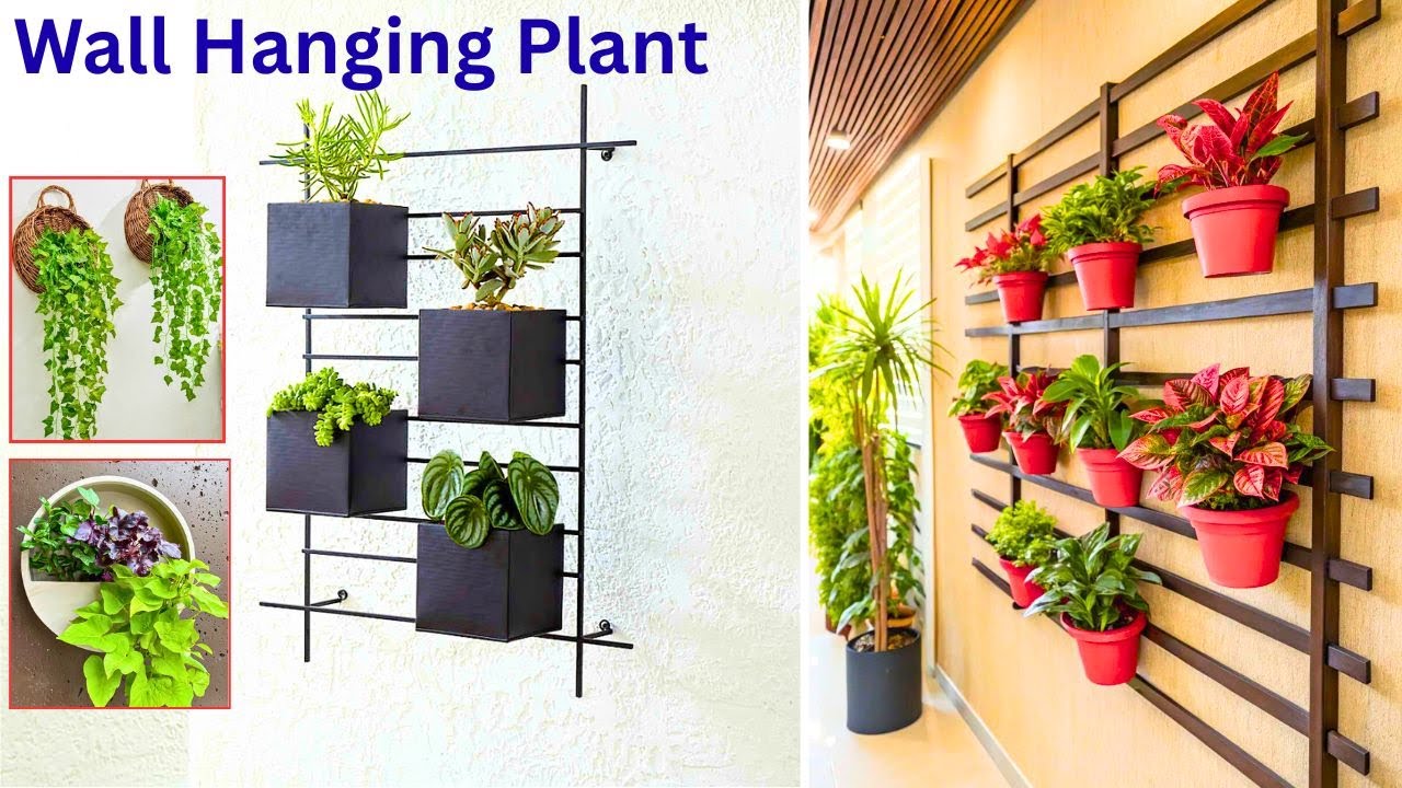 Beautiful Wall Hanging Plants and Planter Ideas