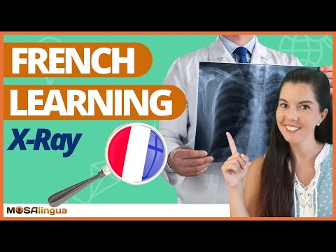 All You Need to Know Before Learning French