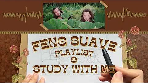 Study with me & FENG SUAVE | playlist |