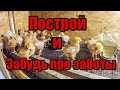 Многофункциональный Брудер своими руками!! Полная автоматика!! Все виды птицы!!(цыплята утята и..)