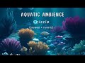 Aquatic ambience  scizzie slowed  reverb 1 hour