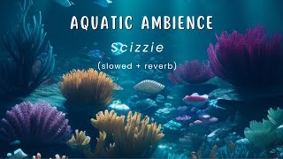 Aquatic Ambience - Scizzie (slowed   reverb) 1 Hour