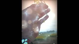 Ağla Halime - Zara Durum Ları Resimi