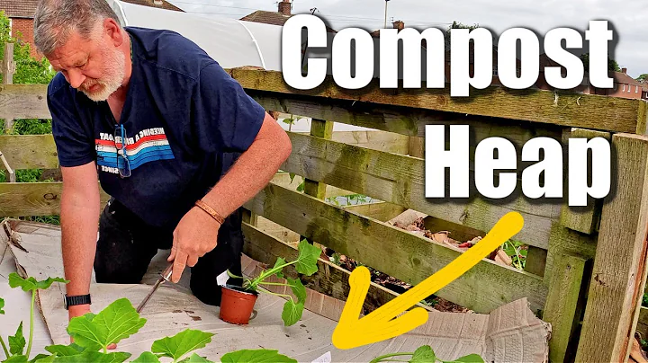 Growing Vegetables On A Compost Heap  | Vegetables Thrive on a Compost Heap
