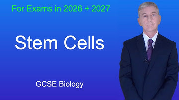 GCSE Biology Revision "Stem Cells"