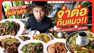 จ่าต่อกินแมว!! | พี่แมวอาหารป่า คุณภาพคุ้มราคา