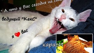 Как пожарить карася или сочный карась в хрустящей корочке без костей Как пожарить карася или сочный карась в хрустящей корочке без костей