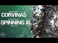 buscando CORVINAS con equipo SPINNING XL - Vlog 17