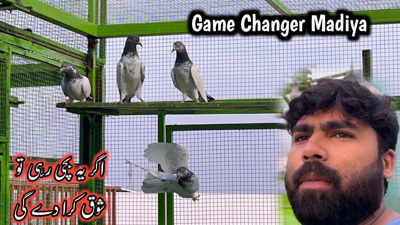 Game Changer Madiyao Ka ShooQ kry 💪