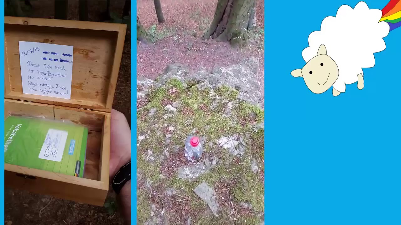 Regenbogenschaf besucht Emskirchen! #2 REUPLOAD
