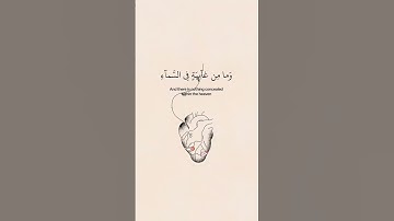(وَإِنَّ رَبَّكَ لَيَعْلَمُ مَا تُكِنُّ صُدُورُهُمْ وَمَا يُعْلِنُونَ)قرآن كريم بصوت يريح القلب❤