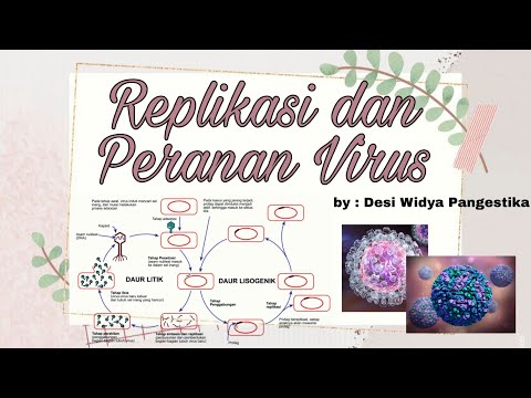 Video: Variasi Genetik Pada 31 Dan 450 Residu Influenza A Nucleoprotein Mempengaruhi Replikasi Dan Terjemahan Virus