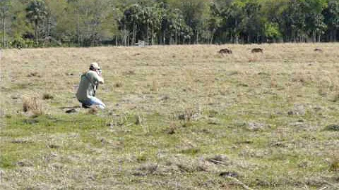 Joe Springman Hog Hunt