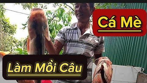 Cách Ủ Khoai Lang , Cách Phối Mồi Câu Cá Mè Chi tiết , Hiệu Quả Nhất #tufishing #fishing