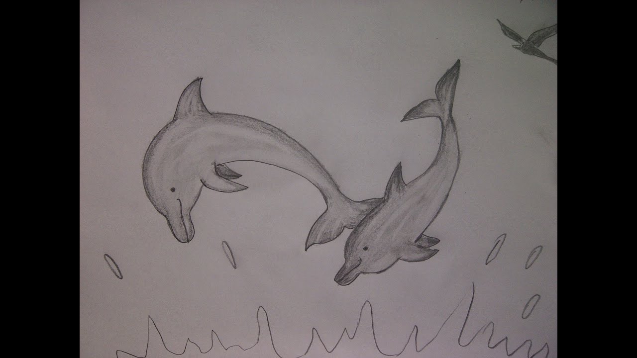 Delfine malen. Wie zeichnet man Delfine mit dem Bleistift ...