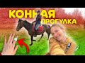 СОЖГЛА ПАЛЕЦ! / Галоп В ПОЛЯХ 🐴 VLOG конюшня