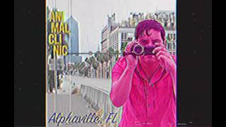 Human gets eaten alive by alligator in Alphaville, Florida!!!! (Animal Clinic)
