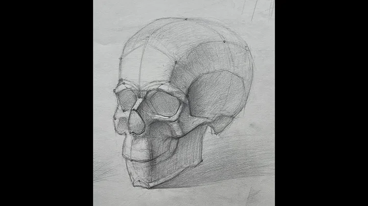 Constructive Anatomy of the Head