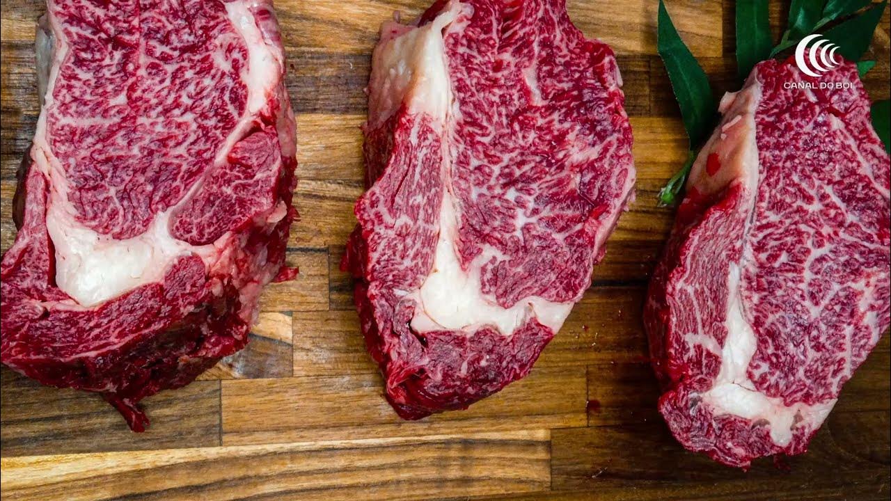 Avaliação da carcaça bovina por ultrassonografia permite definir a