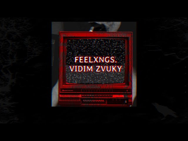FEELXNGS. - VIDIM ZVUKY | OFF. VISUAL LYRIC VIDEO class=