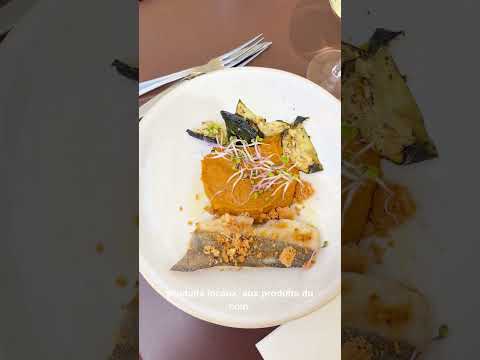 Aperçu vidéo
