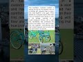 True Love Knows No Boundaries: Husband Designs Special Tricycle for His Wife's 70th Birthday