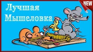 Самая Простая и Лучшая Мышеловка за 25 рублей!!!   Простая ловушка!!!