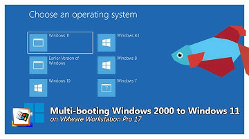 Multi-booting Windows 2000 to Windows 11 on VMware Workstation Pro 17