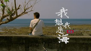 黄磊《我想我是海》一首很动听的老歌，带着纯情少年般的感动