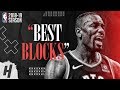 Serge Ibaka BEST & CRAZIEST BLOCKS from 2018-19 NBA Season, Playoffs & the Finals!