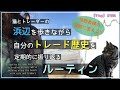 【Vlog】猫とトレーダのトレード歴史を振り返るルーティン/トレーダー生活/チャート/FX/Forex/Vlog#006/浜辺を歩きながらトレード歴史を振り返るルーティン【トレーダーの日常】