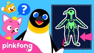 explore fun facts about animal body parts learn with pinkfong baby shark pinkfong for kids