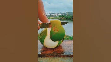 تلاوة من سورة يونس --قارئ أحمد خضر #quran #القرآن_الكريم #القران