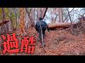 【山の開拓】急斜面で材料集め…そこで謎の○○が… #722