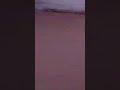 يا حليل بيتنا و رشة حوشنا يا حليل بيتنا و رشة حوشنا