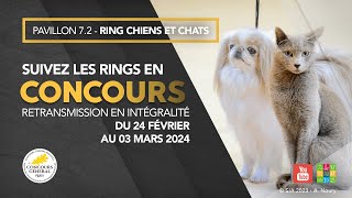 Ring Chiens et Chats 26/02/2023