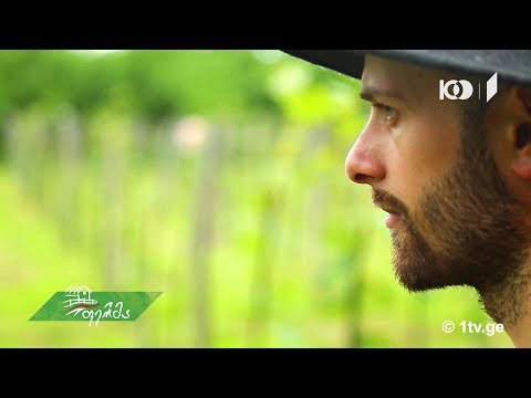 #არტიშოკი ვახუშტი მენაბდის მეურნეობა გურიაში