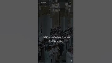 مقتطف من تلاوة الشيخ #عبدالمحسن_القاسم من مغرب 18 شوال 1446هـ
