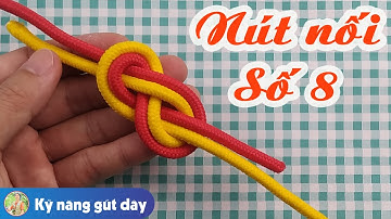 Nối nút số 8 | Wiring Instructions| Rope Knot Instructions
