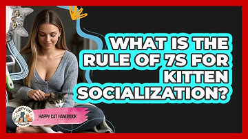 What Is The Rule Of 7s For Kitten Socialization? - Happy Cat Handbook