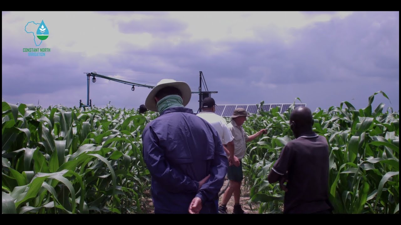 The Phenomenal Pivot