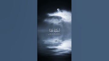 ﴿قَالَ لَا تَخَافَا إِنَّنِي مَعَكُمَا أَسْمَعُ وَأَرَى﴾ القارئ شريف مصطفى 🤍🌿