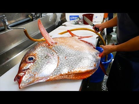 Japanese Street Food - GIANT OPAH SUNFISH Okinawa Japan Japanese Street Food - GIANT OPAH SUNFISH Okinawa Japan