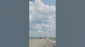 طل الهوى بأحلى عيون قلي الدوا بين الجفون اكسبلور تصويري رواق بدون موسيقى تصميمي طريق 