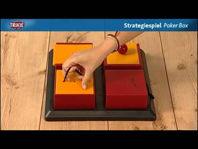 Dog activity poker box 2 