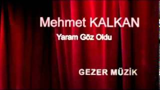 Mehmet Kalkan 2011 son.mp4 Resimi