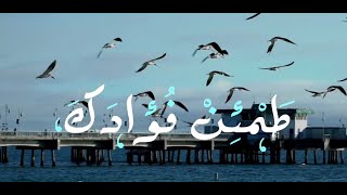 طمئن فؤادك | كلمات : نورة يوسف (غضّة) | آداء : أسامة السلمان HD