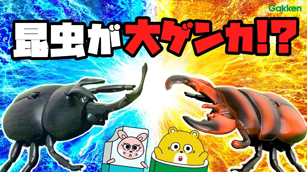 どっちが強い】昆虫対決！カブトムシや巨大クモやクワガタが大ゲンカ